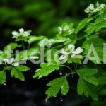 春の谷に咲く植物に降り注ぐ雨