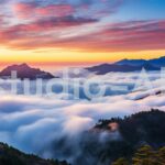 夕暮れの太陽と雲海が綺麗に撮れた最高の写真