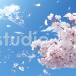 夢の中に迷い込んだかのような穏やかで美しい桜