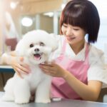 犬の毛並みを整える女性トリマー