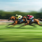 動物・生き物 NO.196003