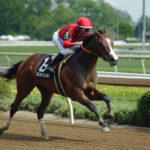 動物・生き物 NO.196000