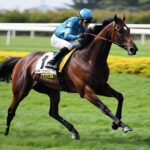 動物・生き物 NO.196006