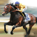 動物・生き物 NO.196006