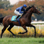 動物・生き物 NO.196028