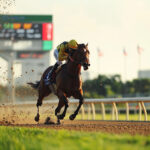 動物・生き物 NO.196055