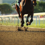 動物・生き物 NO.196055