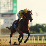 動物・生き物 NO.196063