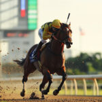 動物・生き物 NO.196065