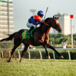 動物・生き物 NO.196065