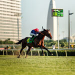 動物・生き物 NO.196073