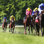 動物・生き物 NO.196087