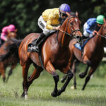 動物・生き物 NO.196095