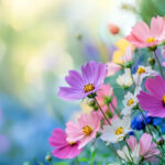 花・植物 NO.196217