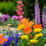 花・植物 NO.196291