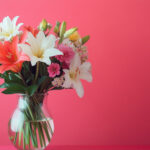 花・植物 NO.196307