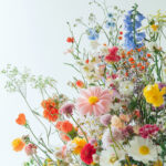 花・植物 NO.196321