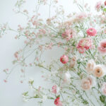 花・植物 NO.196321