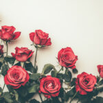 花・植物 NO.196329