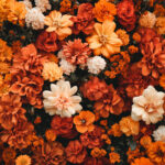 花・植物 NO.196339