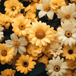 花・植物 NO.196345