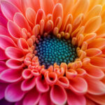 花・植物 NO.196361