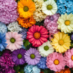 花・植物 NO.196419