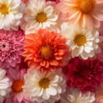 花・植物 NO.196446