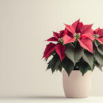 花・植物 NO.196452