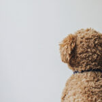 動物・生き物(犬) NO.197192