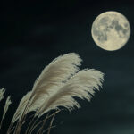 季節・行事(秋) NO.203194