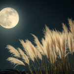 季節・行事(秋) NO.203198