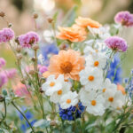 花・植物 NO.213284