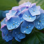 ペットの癒し画像